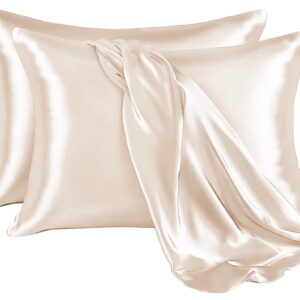 Glossy Beige Silk-Pillowcase