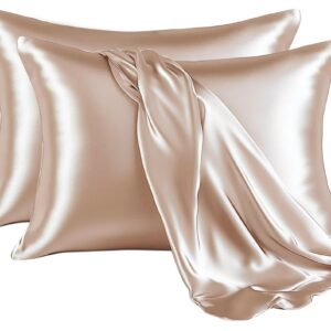 Glossy Light Champagne Silk-Pillowcase